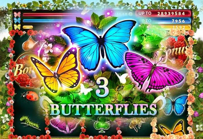 Betroller Casino: Alle Spiele und Zahlungsmittel im Detail erklärt.